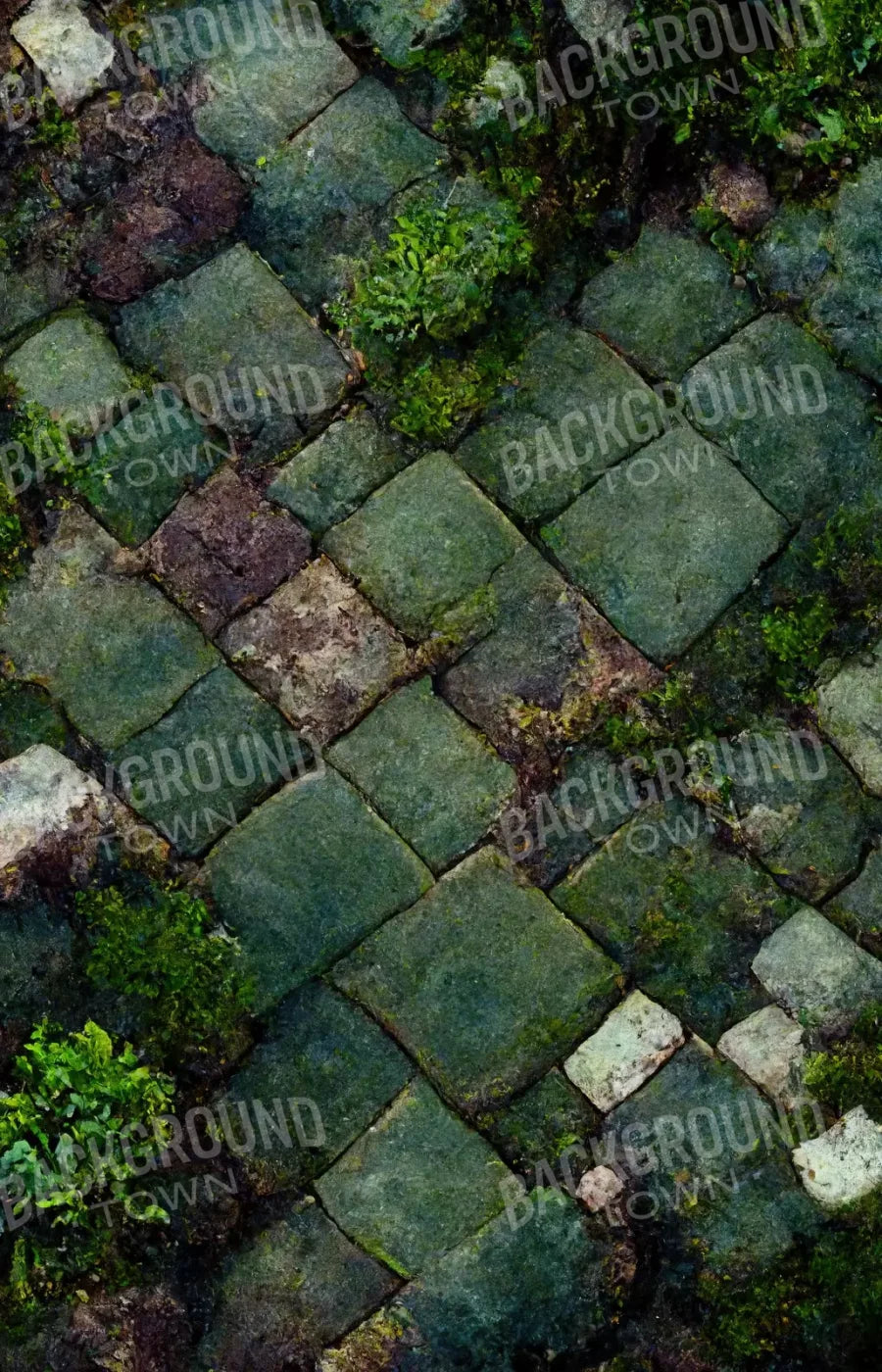 Mossy Flagstone 8X12 Ultracloth ( 96 X 144 Inch ) Backdrop