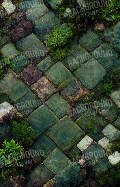 Mossy Flagstone 8X12 Ultracloth ( 96 X 144 Inch ) Backdrop