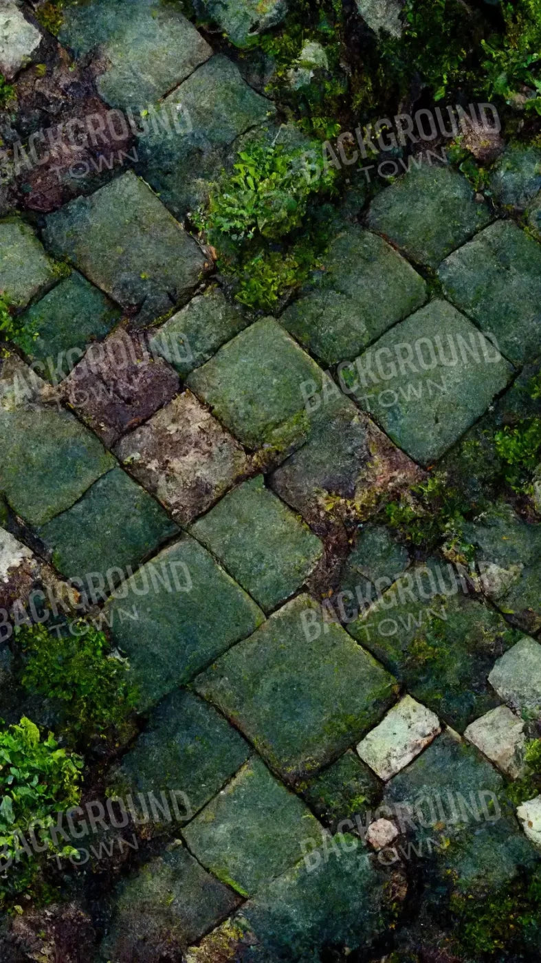 Mossy Flagstone 8X14 Ultracloth ( 96 X 168 Inch ) Backdrop