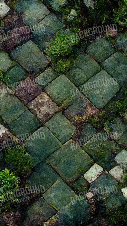 Mossy Flagstone 8X14 Ultracloth ( 96 X 168 Inch ) Backdrop