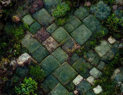 Mossy Flagstone 8X6 Fleece ( 96 X 72 Inch ) Backdrop