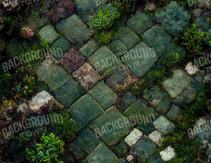 Mossy Flagstone 8X6 Fleece ( 96 X 72 Inch ) Backdrop