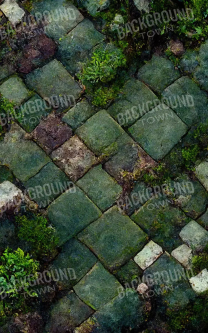Mossy Flagstone 9X14 Ultracloth ( 108 X 168 Inch ) Backdrop