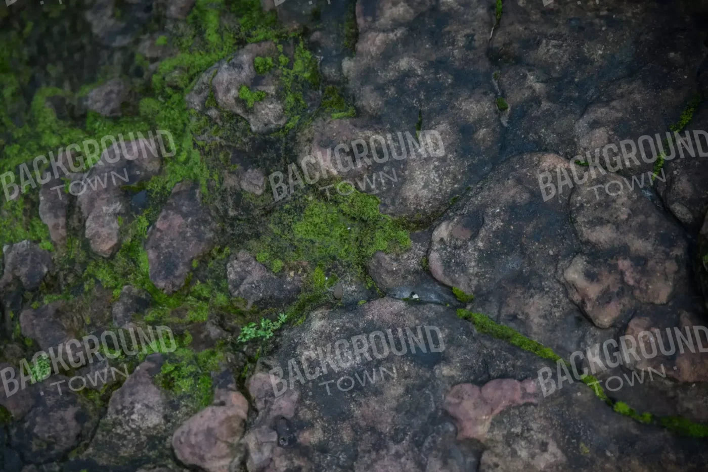 Mossyrock 12’X8’ Ultracloth (144 X 96 Inch) Backdrop