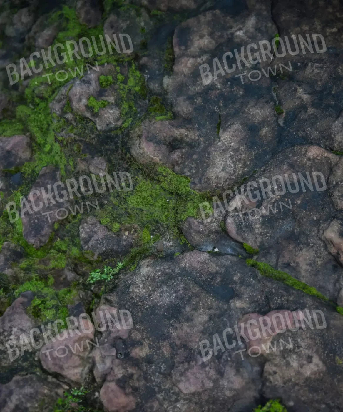 Rocks, Brown, Green  Backdrop for Photography