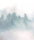 Misty tree line in mountains Backdrop for Photography