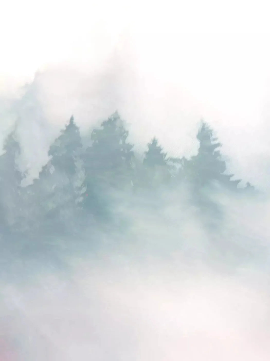 Mountain Mist 5X68 Fleece ( 60 X 80 Inch ) Backdrop