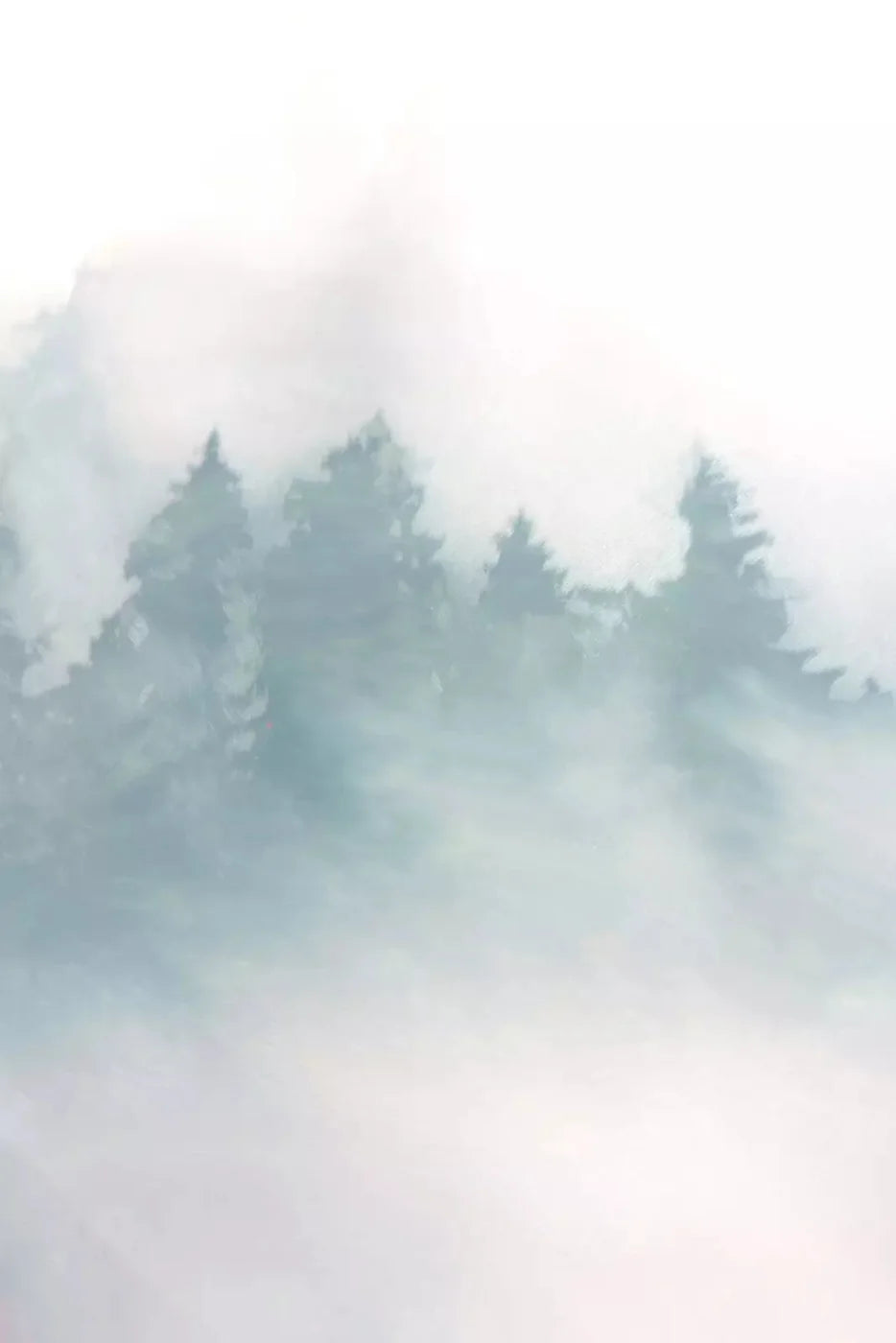 Mountain Mist 5X8 Ultracloth ( 60 X 96 Inch ) Backdrop