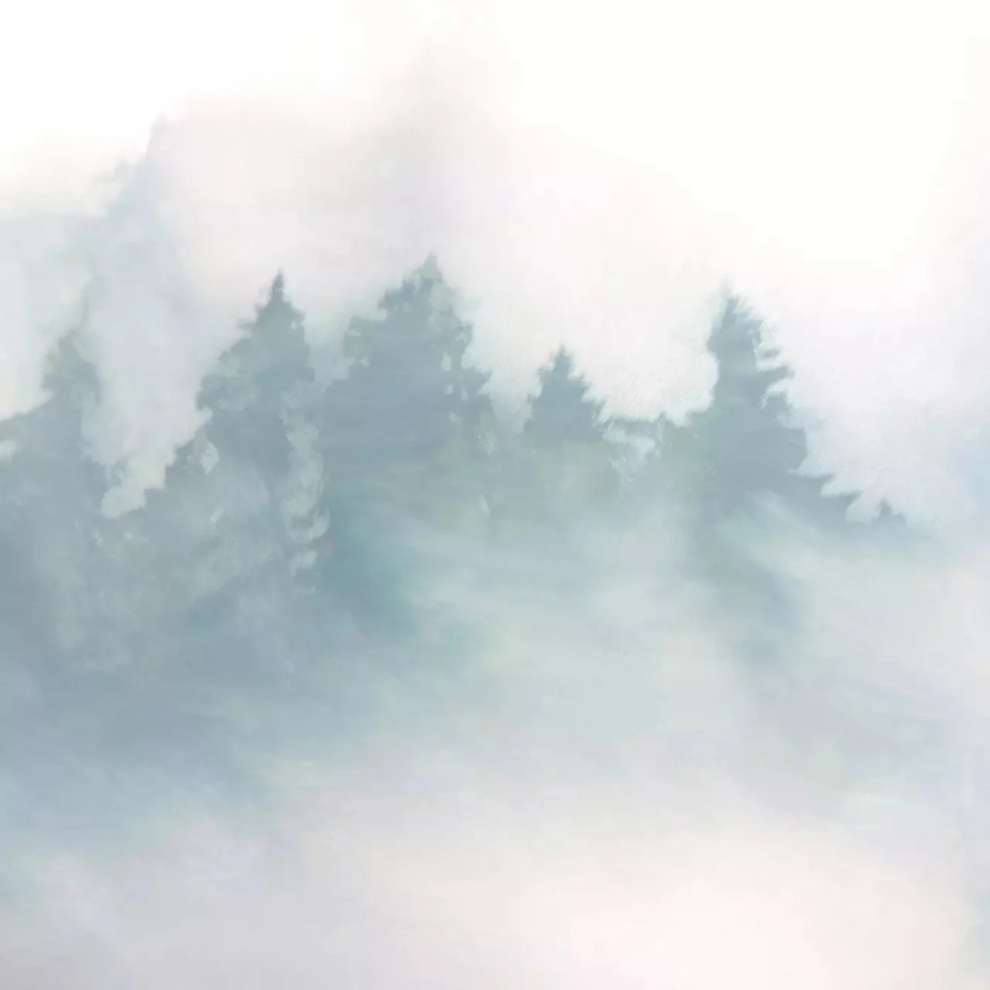 Mountain Mist 8X8 Fleece ( 96 X Inch ) Backdrop