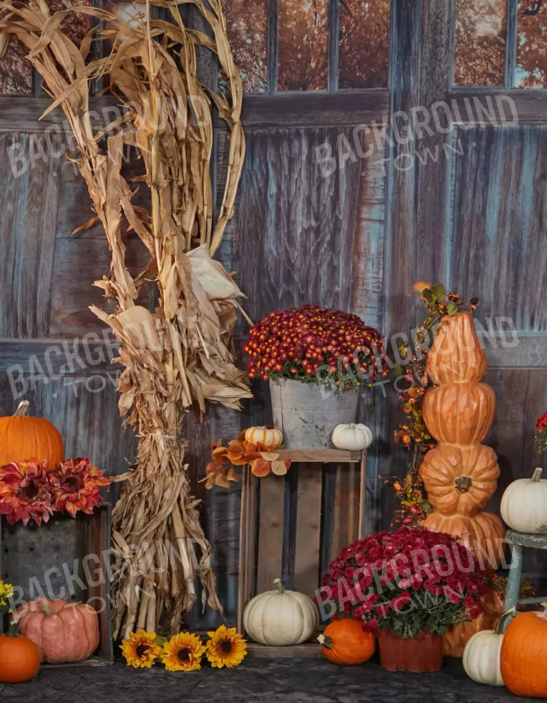 Pumpkin Patch 6X8 Fleece ( 72 X 96 Inch ) Backdrop