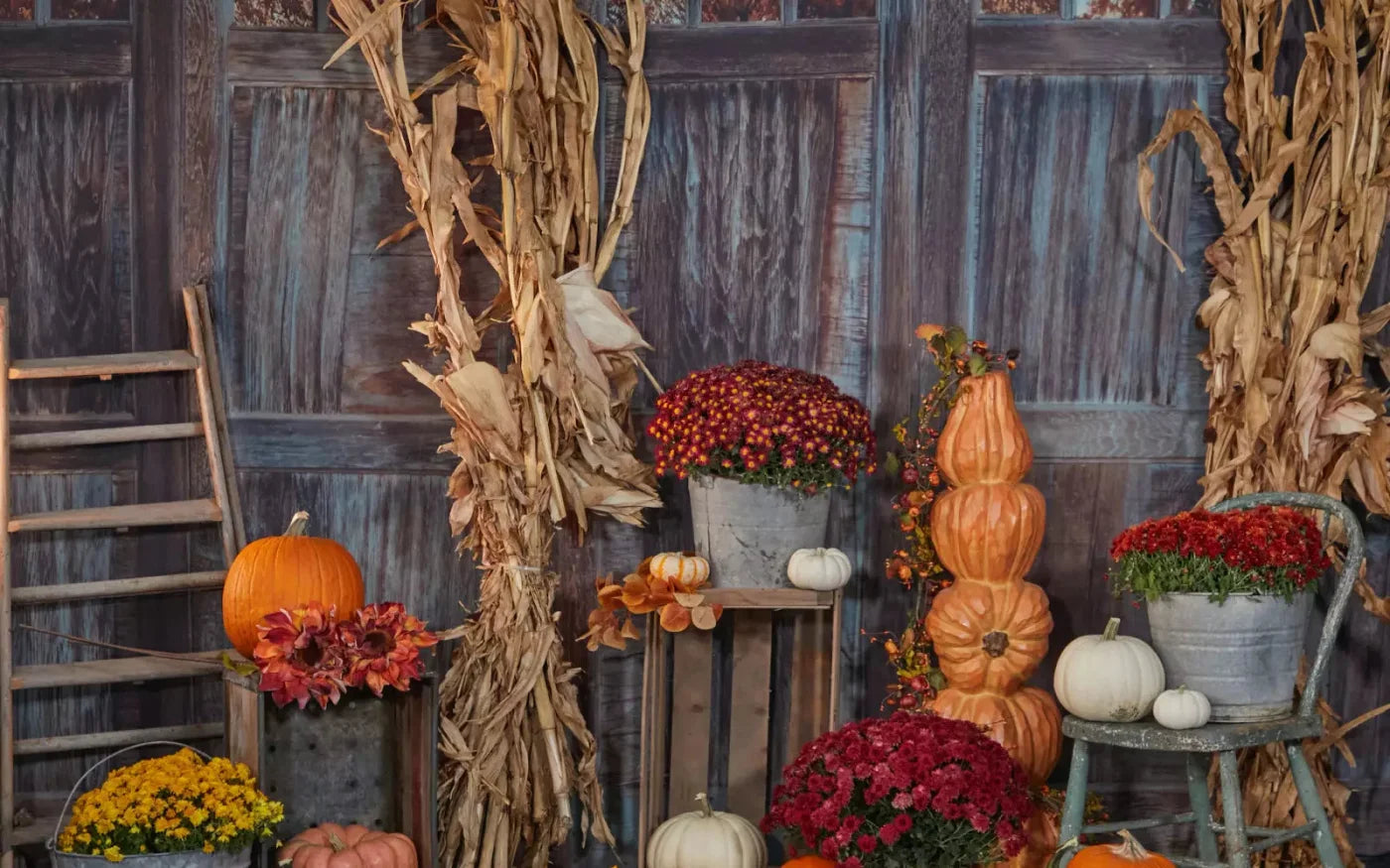 Pumpkin Patch 14X9 Ultracloth ( 168 X 108 Inch ) Backdrop