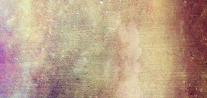 Muse 16X8 Ultracloth ( 192 X 96 Inch ) Backdrop