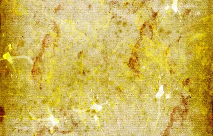 Mustard 12X8 Ultracloth ( 144 X 96 Inch ) Backdrop