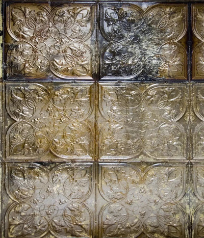 My Ceiling Tins 10X12 Ultracloth ( 120 X 144 Inch ) Backdrop