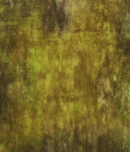 Nature 10X12 Ultracloth ( 120 X 144 Inch ) Backdrop