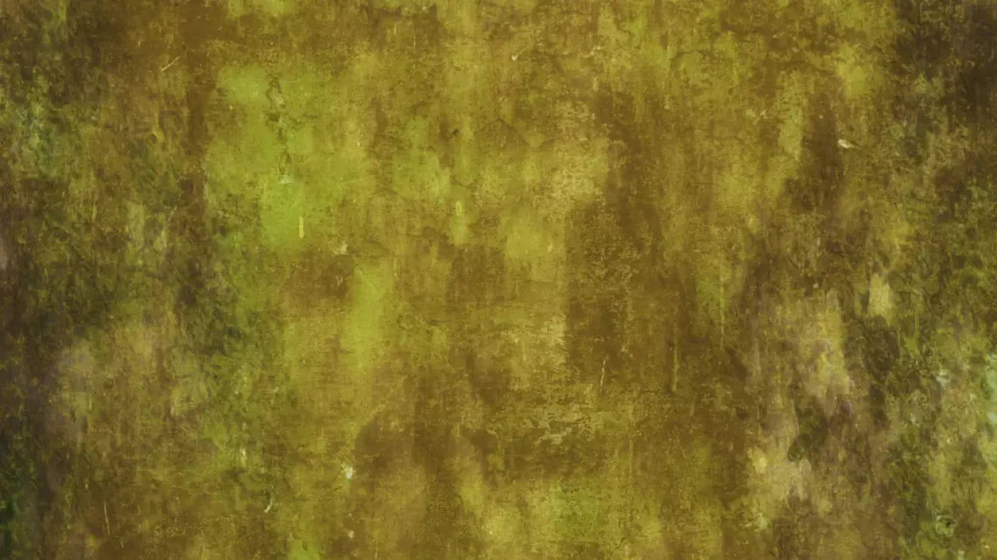 Nature 14X8 Ultracloth ( 168 X 96 Inch ) Backdrop