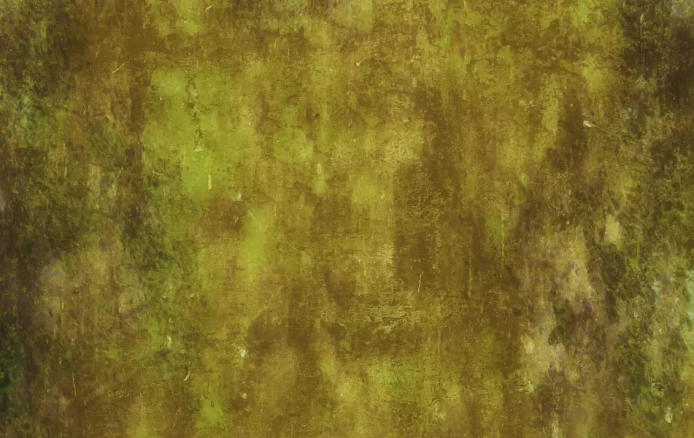 Nature 16X10 Ultracloth ( 192 X 120 Inch ) Backdrop