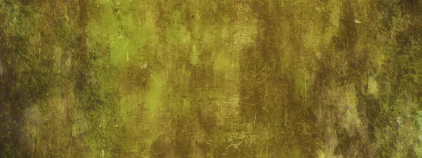 Nature 20X8 Ultracloth ( 240 X 96 Inch ) Backdrop