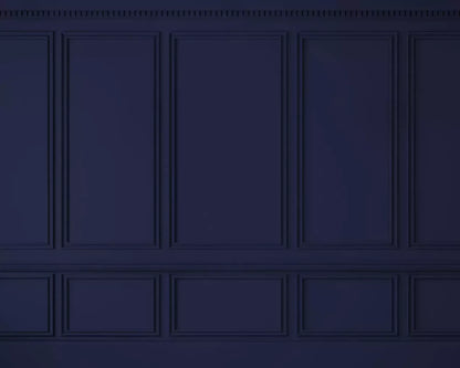 Navy Wall Ballroom 10’X8’ Fleece (120 X 96 Inch) Backdrop