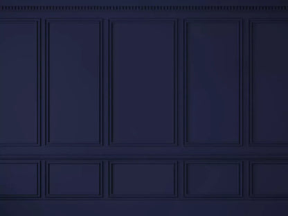 Navy Wall Ballroom 6’8X5’ Fleece (80 X 60 Inch) Backdrop