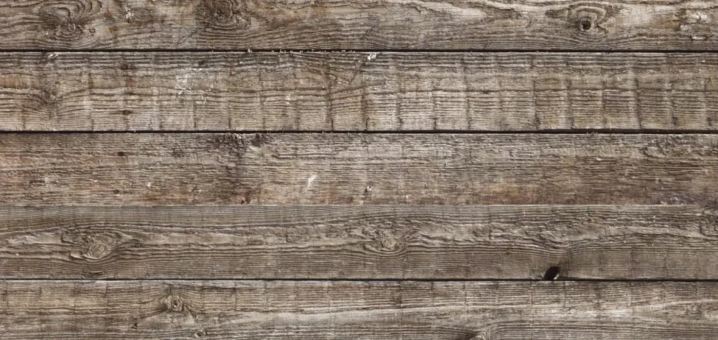 Nebraska 16X8 Ultracloth ( 192 X 96 Inch ) Backdrop