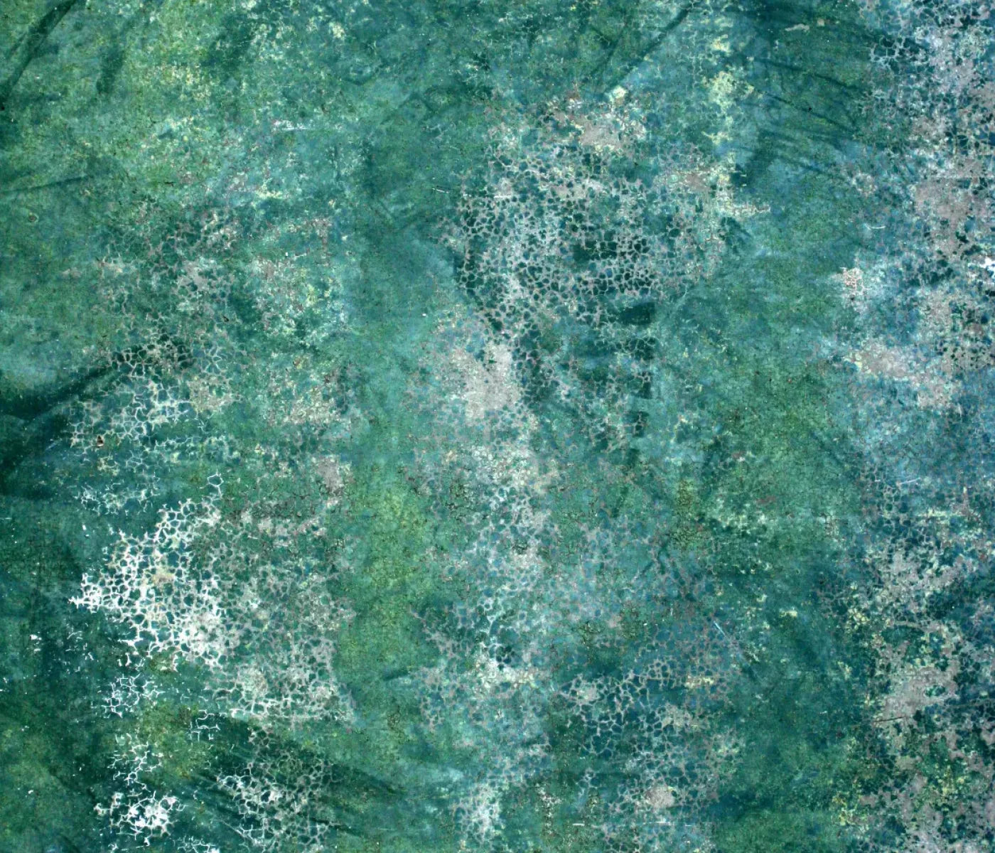 Negate 12X10 Ultracloth ( 144 X 120 Inch ) Backdrop