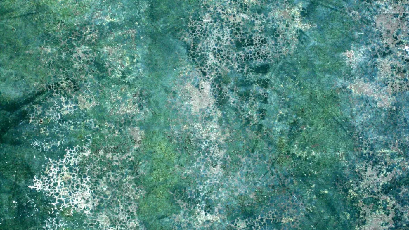 Negate 14X8 Ultracloth ( 168 X 96 Inch ) Backdrop