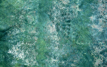 Negate 14X9 Ultracloth ( 168 X 108 Inch ) Backdrop