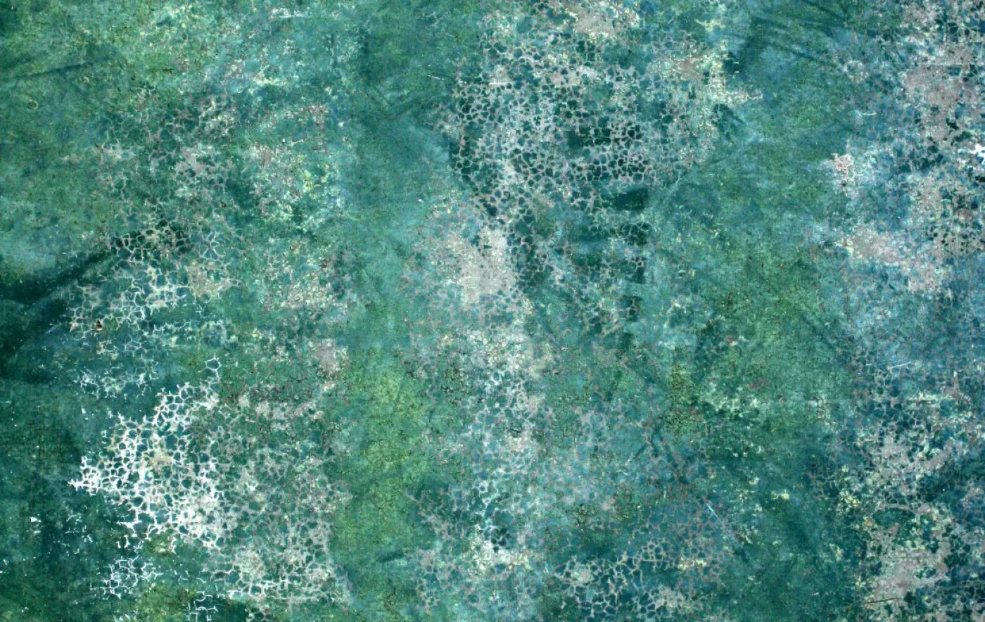 Negate 16X10 Ultracloth ( 192 X 120 Inch ) Backdrop