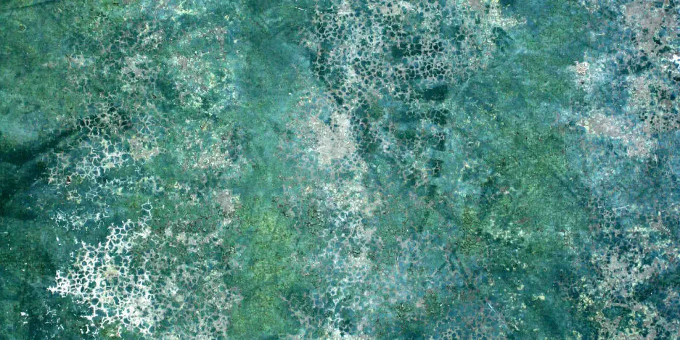 Negate 20X10 Ultracloth ( 240 X 120 Inch ) Backdrop
