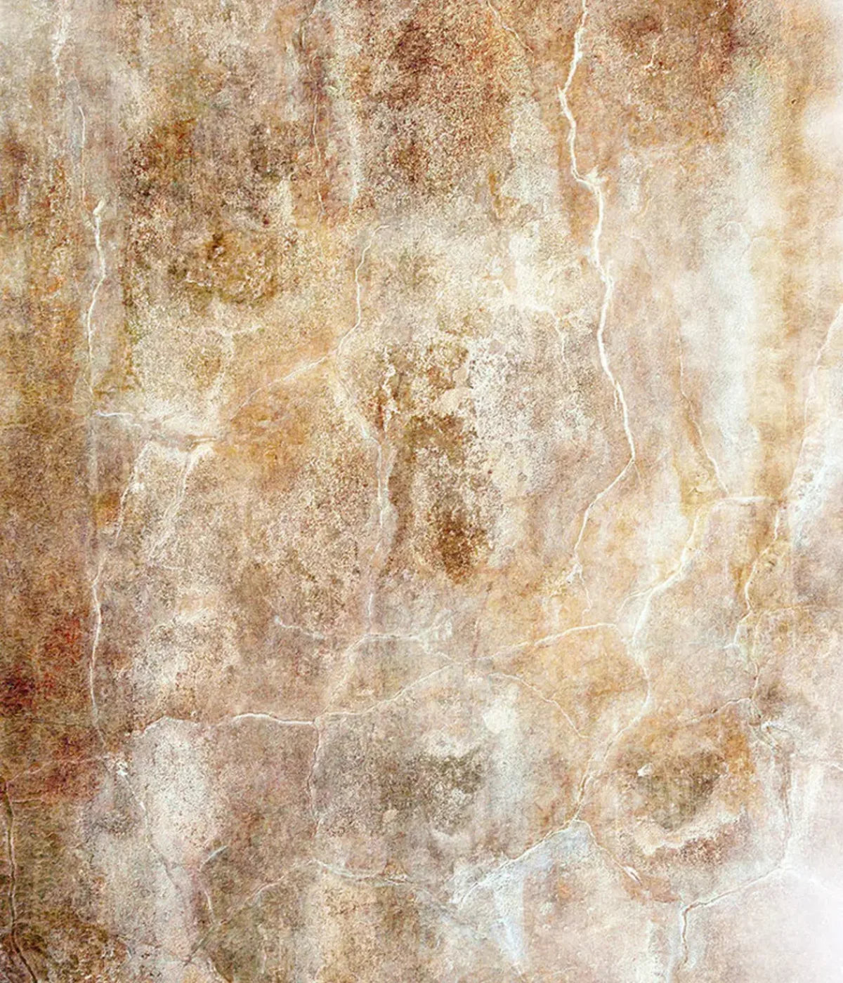 Neutral 10X12 Ultracloth ( 120 X 144 Inch ) Backdrop