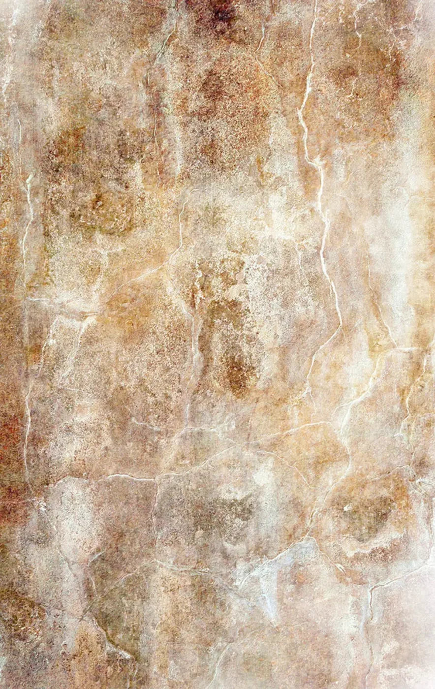 Neutral 10X16 Ultracloth ( 120 X 192 Inch ) Backdrop