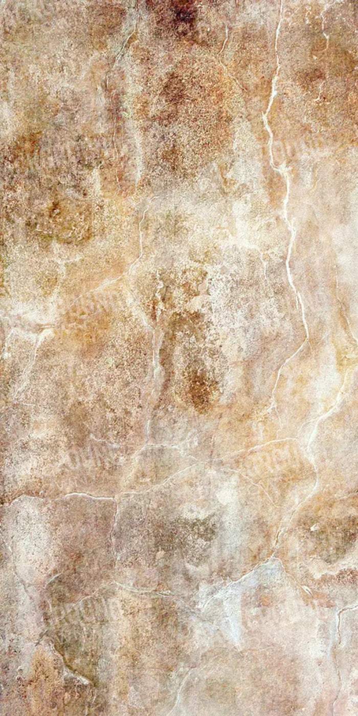 Neutral 10X20 Ultracloth ( 120 X 240 Inch ) Backdrop