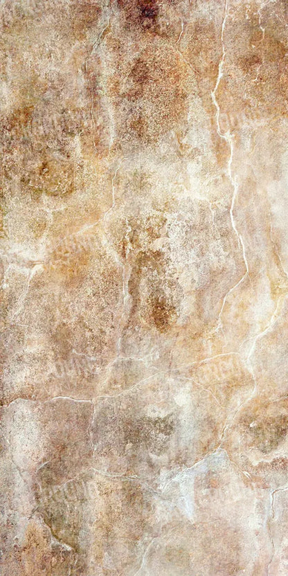 Neutral 10X20 Ultracloth ( 120 X 240 Inch ) Backdrop