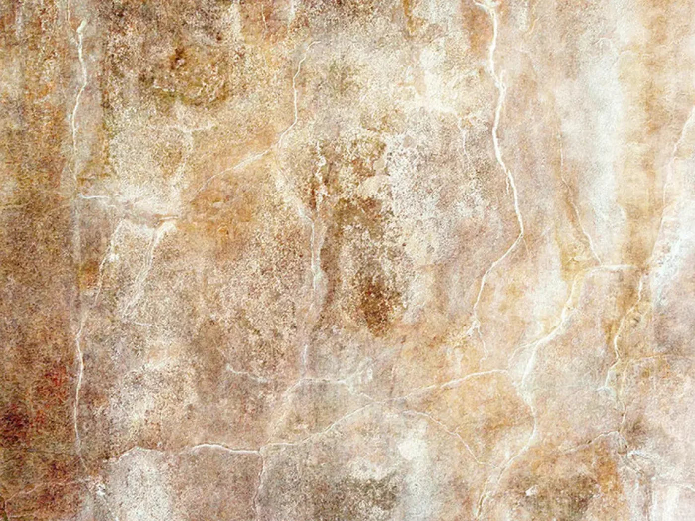 Neutral 10X8 Fleece ( 120 X 96 Inch ) Backdrop