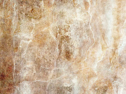 Neutral 10X8 Fleece ( 120 X 96 Inch ) Backdrop