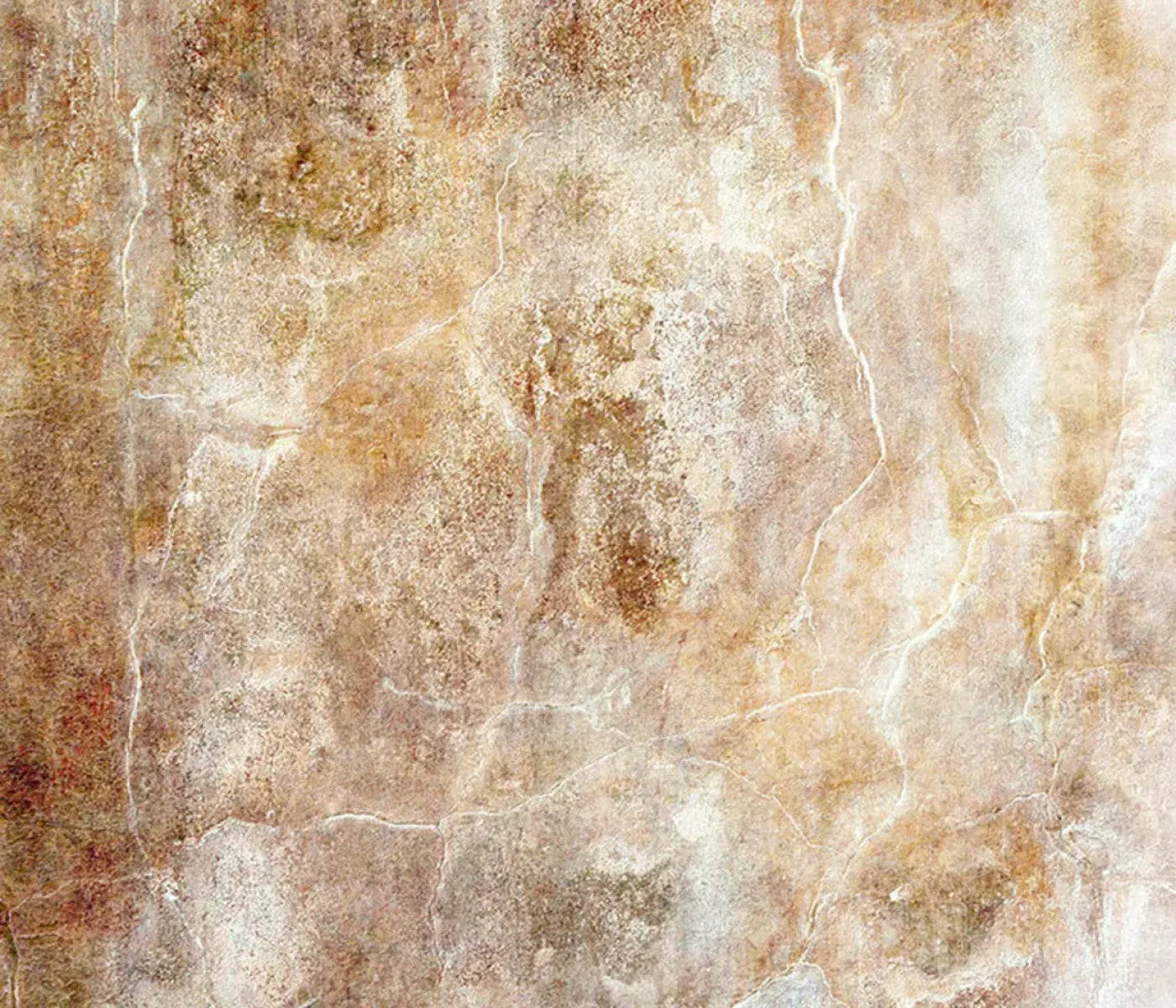 Neutral 12X10 Ultracloth ( 144 X 120 Inch ) Backdrop