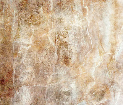 Neutral 12X10 Ultracloth ( 144 X 120 Inch ) Backdrop