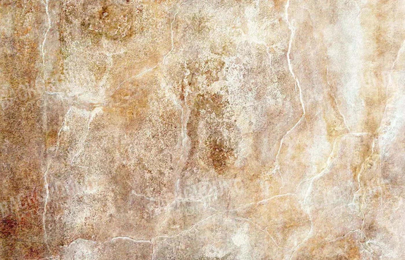 Neutral 12X8 Ultracloth ( 144 X 96 Inch ) Backdrop