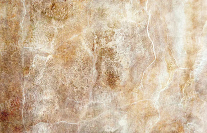 Neutral 12X8 Ultracloth ( 144 X 96 Inch ) Backdrop