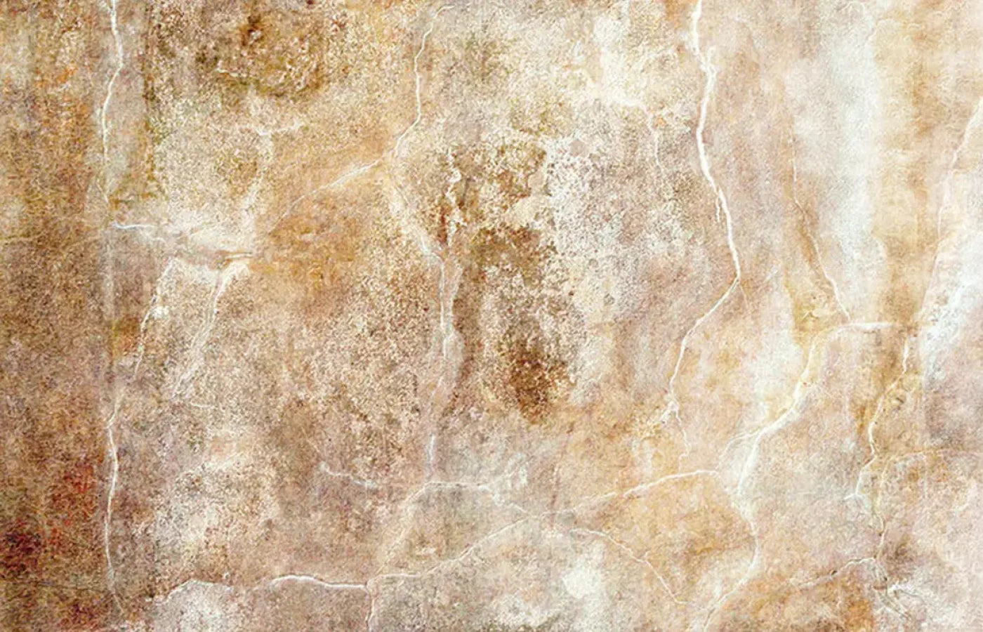 Neutral 12X8 Ultracloth ( 144 X 96 Inch ) Backdrop