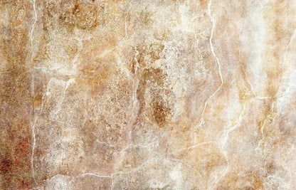 Neutral 12X8 Ultracloth ( 144 X 96 Inch ) Backdrop