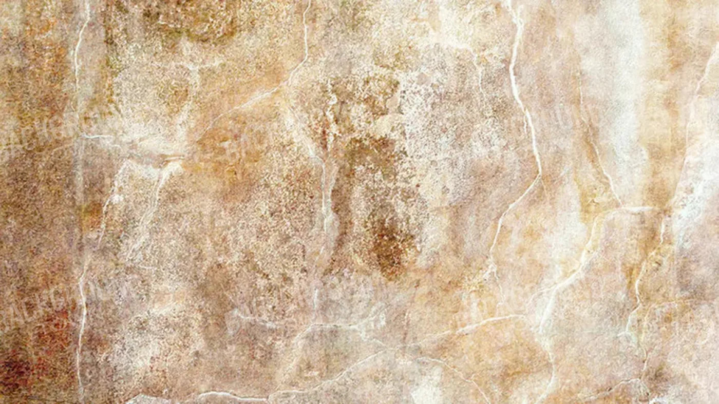 Neutral 14X8 Ultracloth ( 168 X 96 Inch ) Backdrop