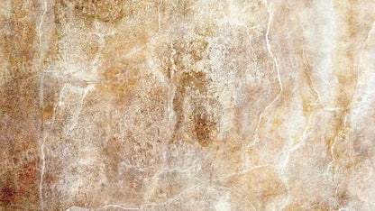 Neutral 14X8 Ultracloth ( 168 X 96 Inch ) Backdrop