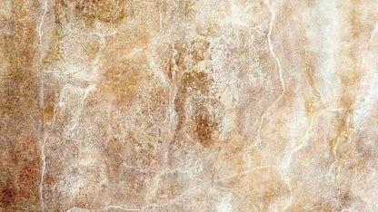 Neutral 14X8 Ultracloth ( 168 X 96 Inch ) Backdrop