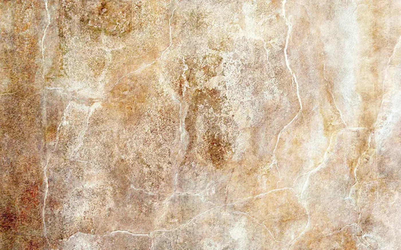 Neutral 14X9 Ultracloth ( 168 X 108 Inch ) Backdrop