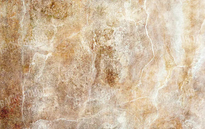 Neutral 16X10 Ultracloth ( 192 X 120 Inch ) Backdrop