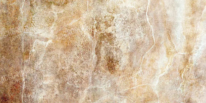 Neutral 20X10 Ultracloth ( 240 X 120 Inch ) Backdrop
