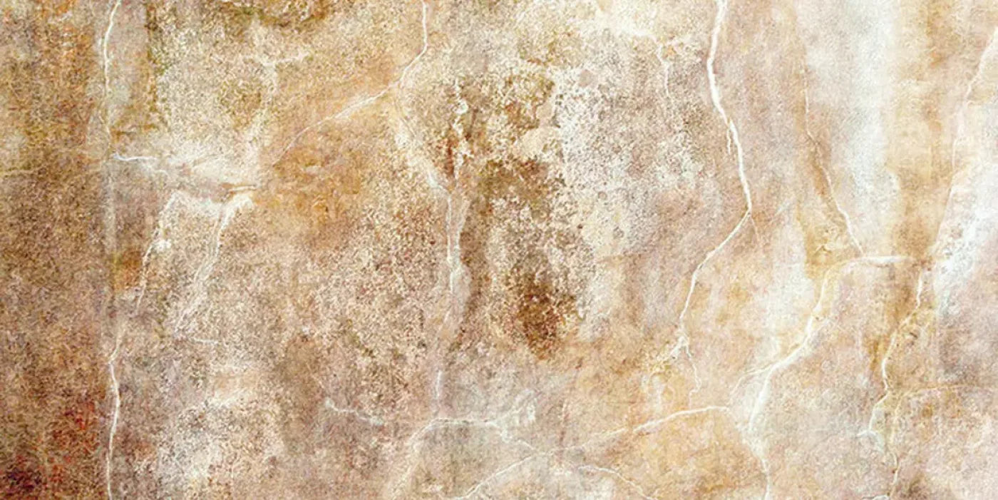 Neutral 20X10 Ultracloth ( 240 X 120 Inch ) Backdrop