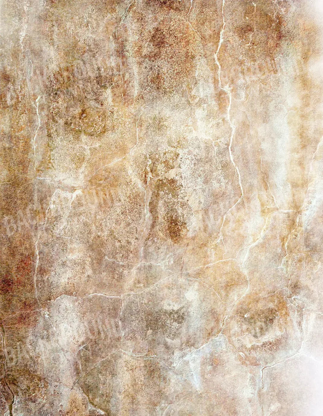 Neutral 6X8 Fleece ( 72 X 96 Inch ) Backdrop